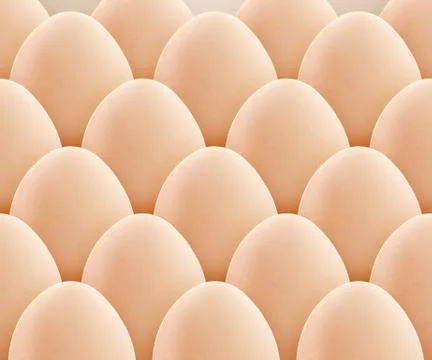 Egg Stock Photos