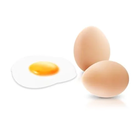 Egg Stock Photos