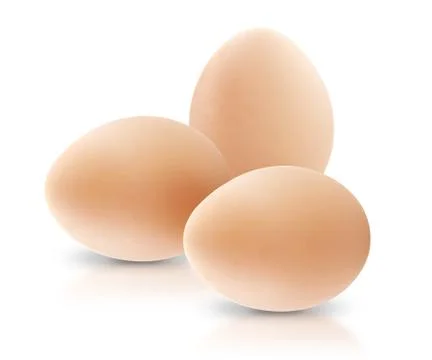 Egg Stock Photos