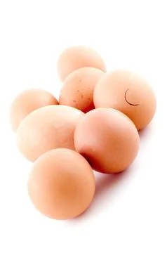 Egg Stock Photos