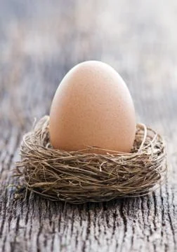 Egg Stock Photos
