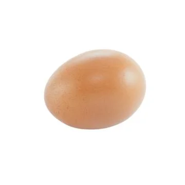 Egg Stock Photos