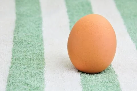 Egg Stock Photos