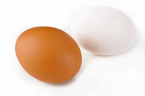 Egg Stock Photos