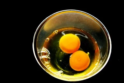 Egg Stock Photos