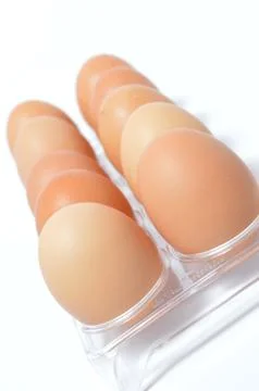Egg 库存照片
