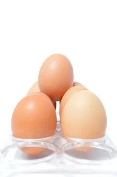 Egg 库存照片
