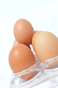 Egg 库存照片