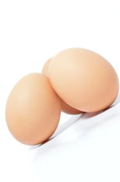 Egg 库存照片