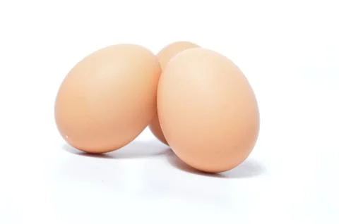 Egg 库存照片
