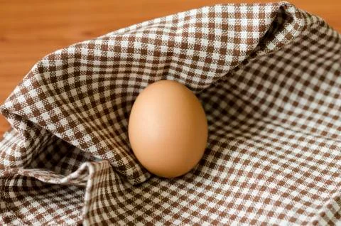Egg Stock Photos