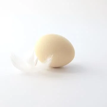 Egg Stock Photos