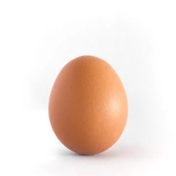 Egg Stock Photos