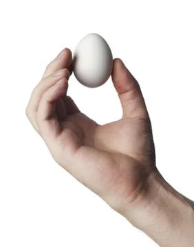 Egg Stock Photos