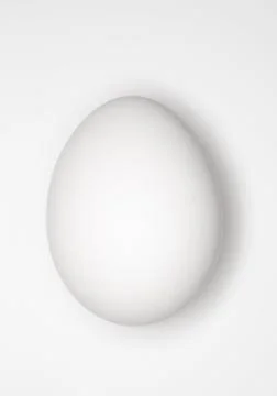 Egg Stock Photos