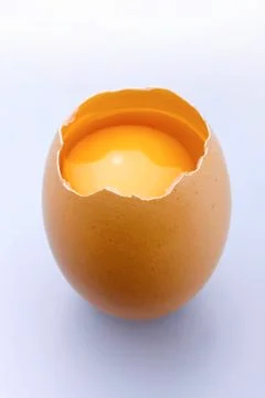 Egg Stock Photos