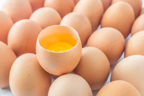 Egg Stock-Fotos