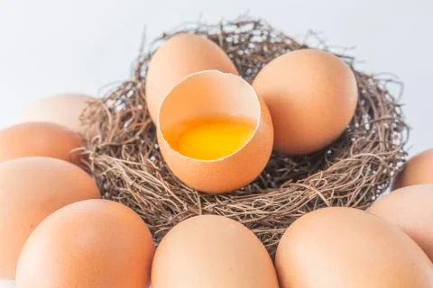 Egg Stock Photos