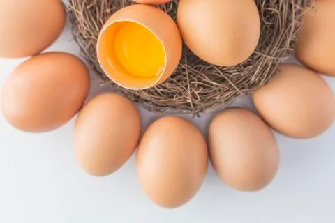 Egg Stock Photos
