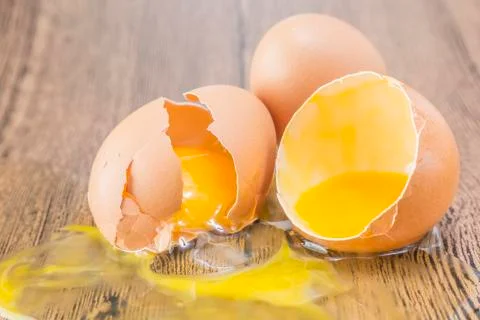 Egg Stock Photos