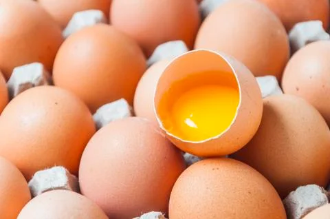 Egg Stock Photos
