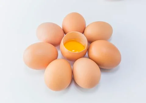 Egg Stock Photos