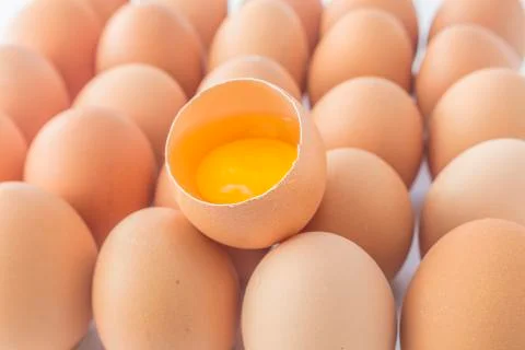 Egg Stock Photos