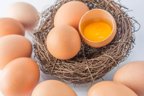 Egg Stock Photos