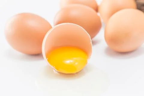 Egg Stock Photos