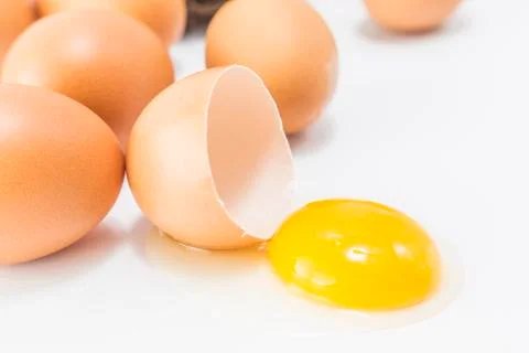Egg Stock Photos