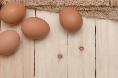 Egg Stock Photos