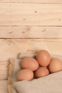 Egg Stock Photos