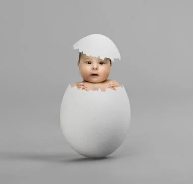 Egg Foto stock