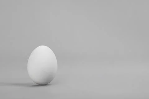Egg Foto stock