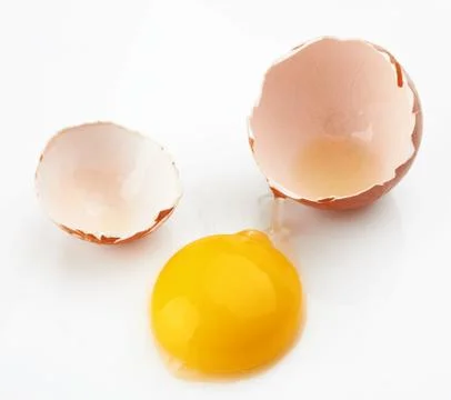 Egg Stock Photos
