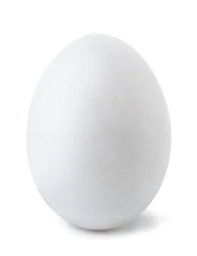 Egg Stock Photos