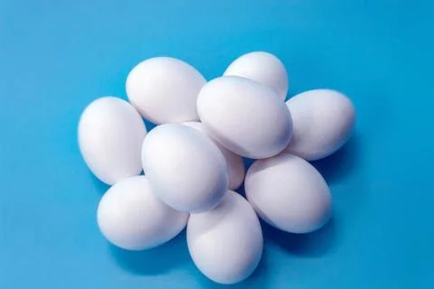 Egg Stock Photos
