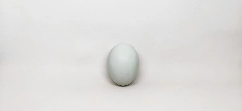 Egg Stock-Fotos