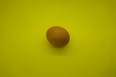 Egg Stock Photos