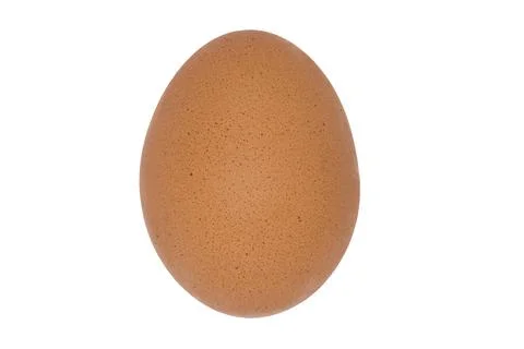 Egg Stock Photos