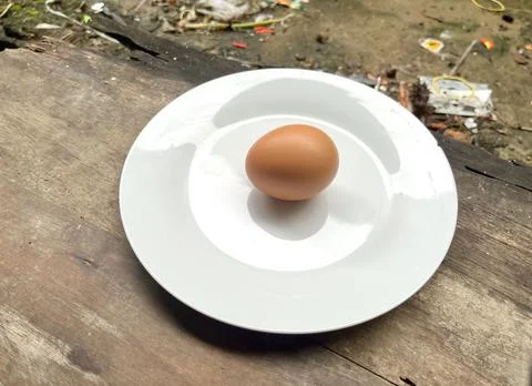 Egg Stock Photos