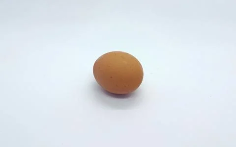 Egg Stock Photos