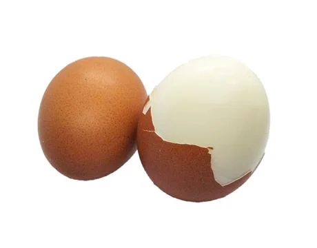 Egg Stock Photos
