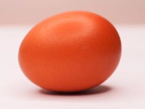 An Egg Stock Photos