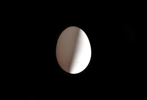 Egg Foto stock