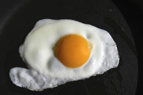 Egg Foto stock
