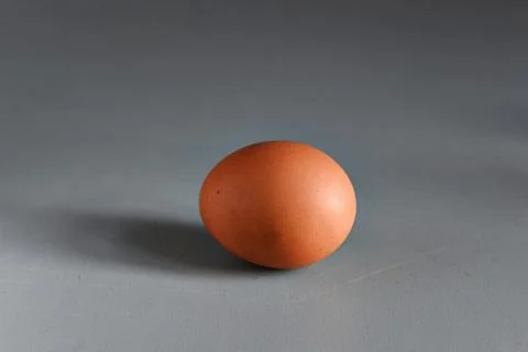 Egg Fotos de archivo
