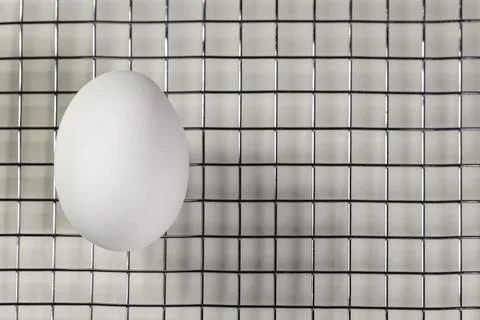 Egg Placed On Grid Stock Photos