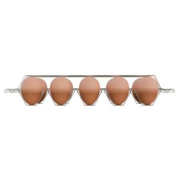 Egg Plastic Packaging Front View 3D Render Illustration Stock Illustration