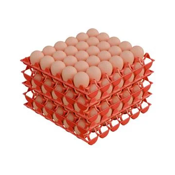 Egg Plastic Tray Top Side View 3D Render Illustration Illustrazione stock